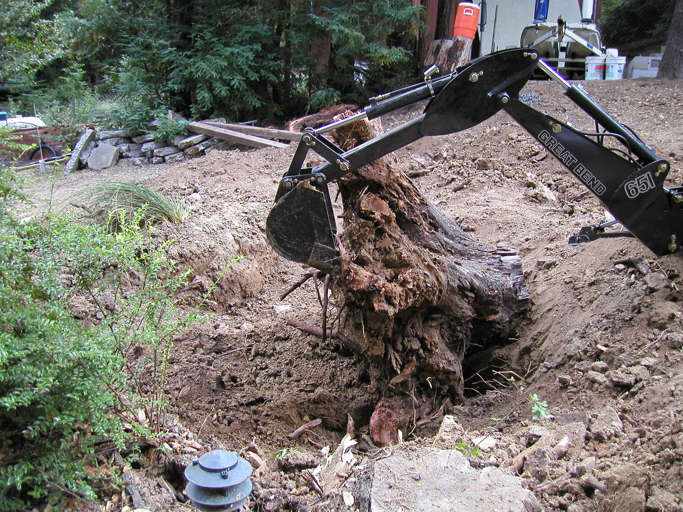 otherstump.JPG
