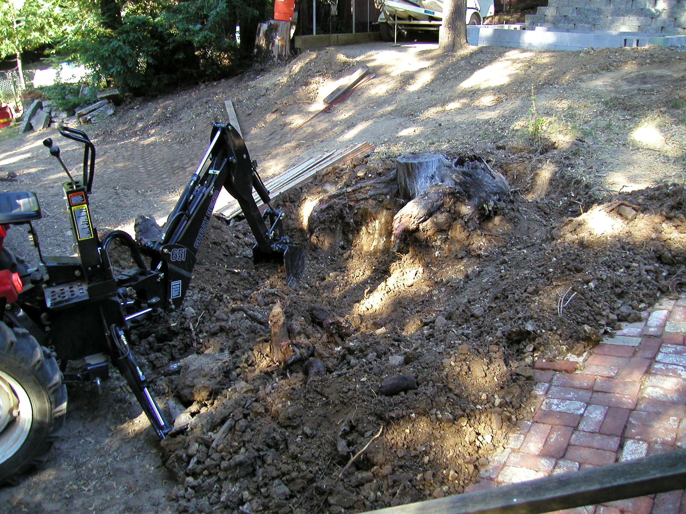 stump01.JPG