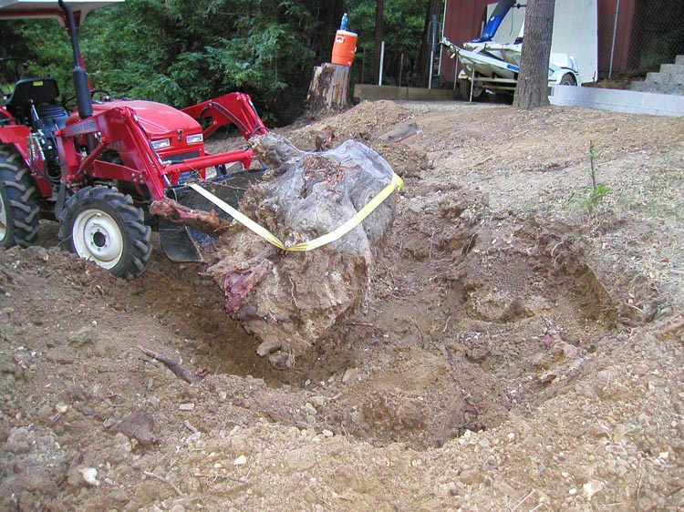 stump02.JPG
