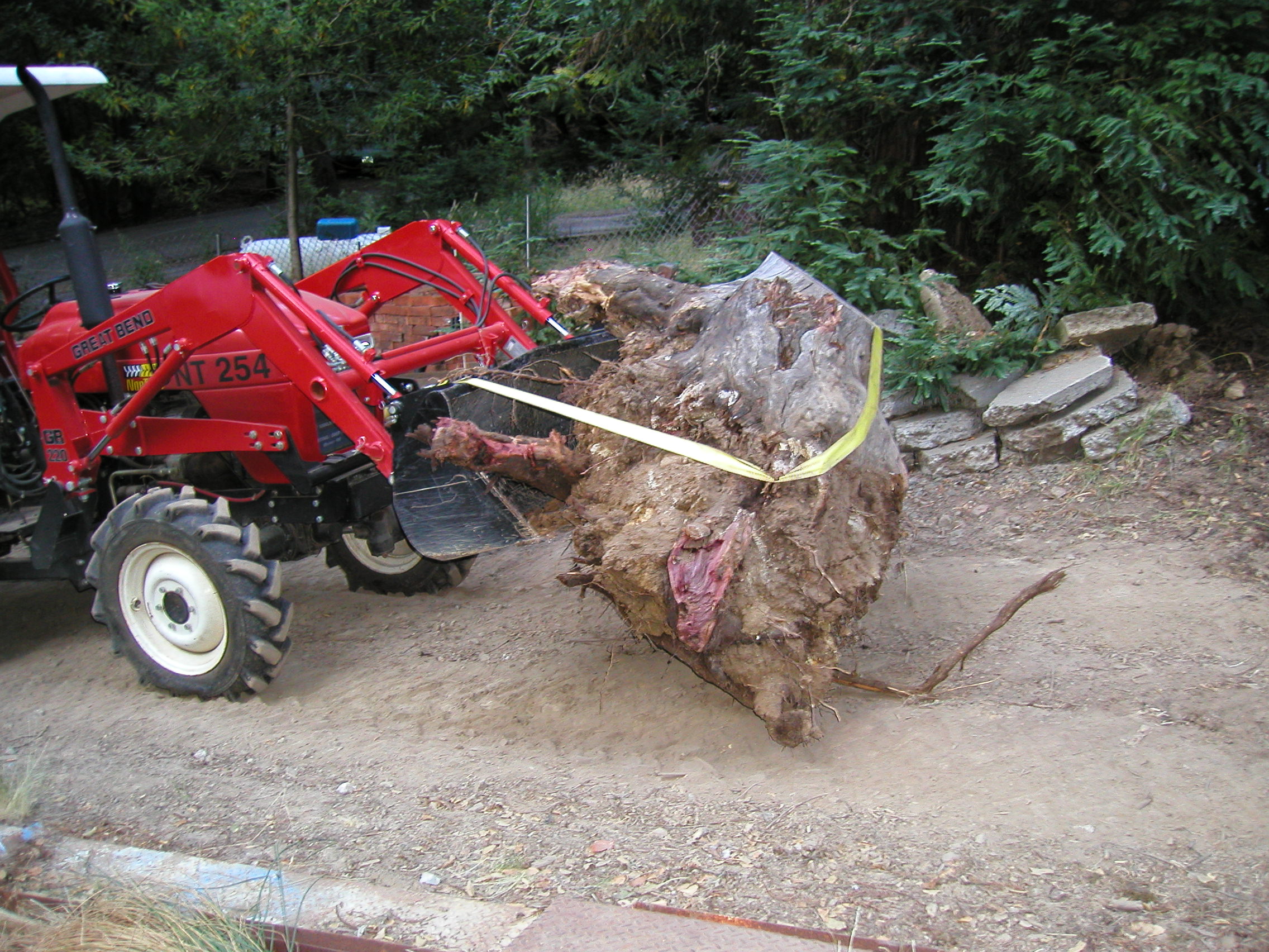 stump04.JPG