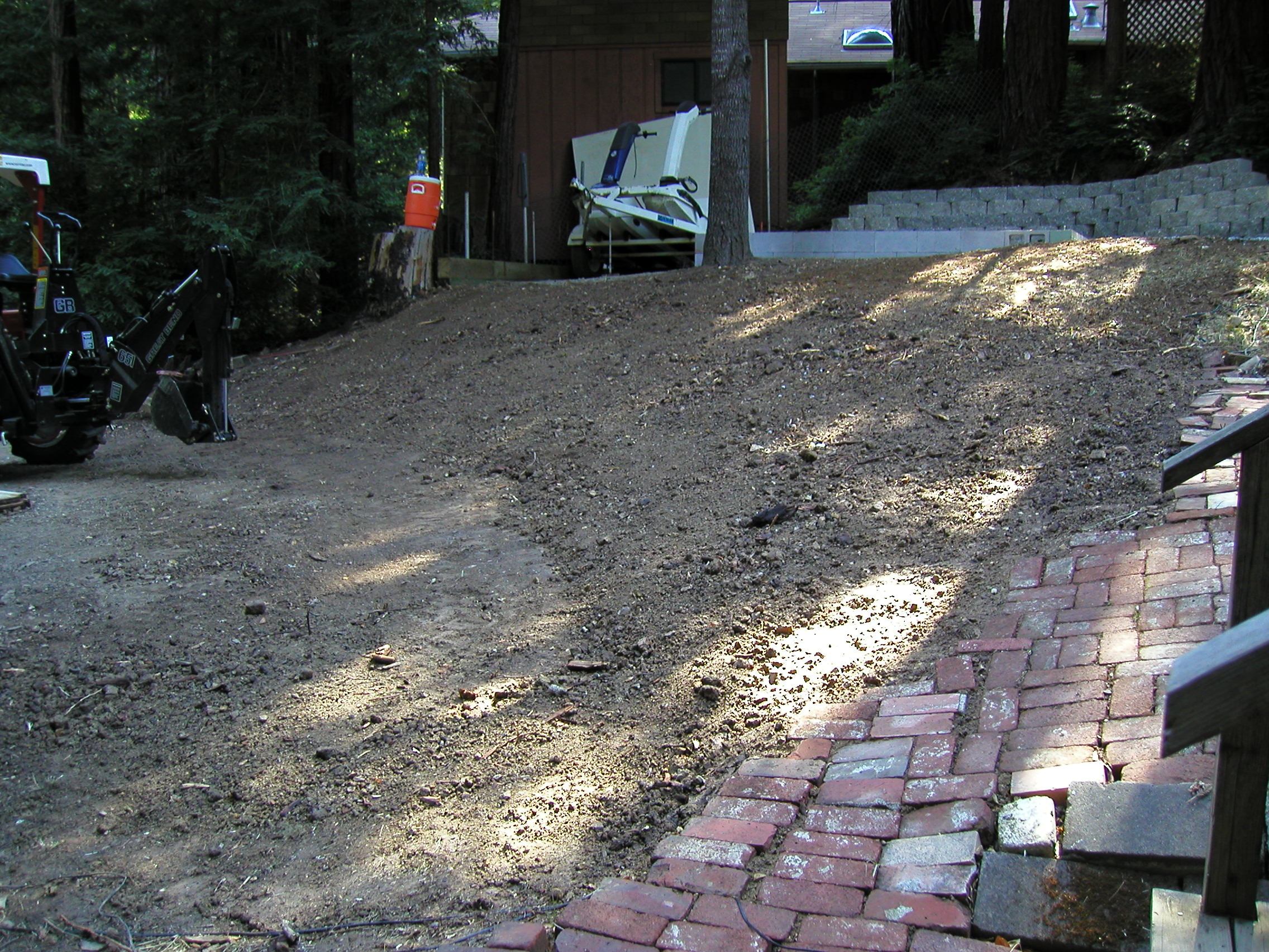 stump05.JPG